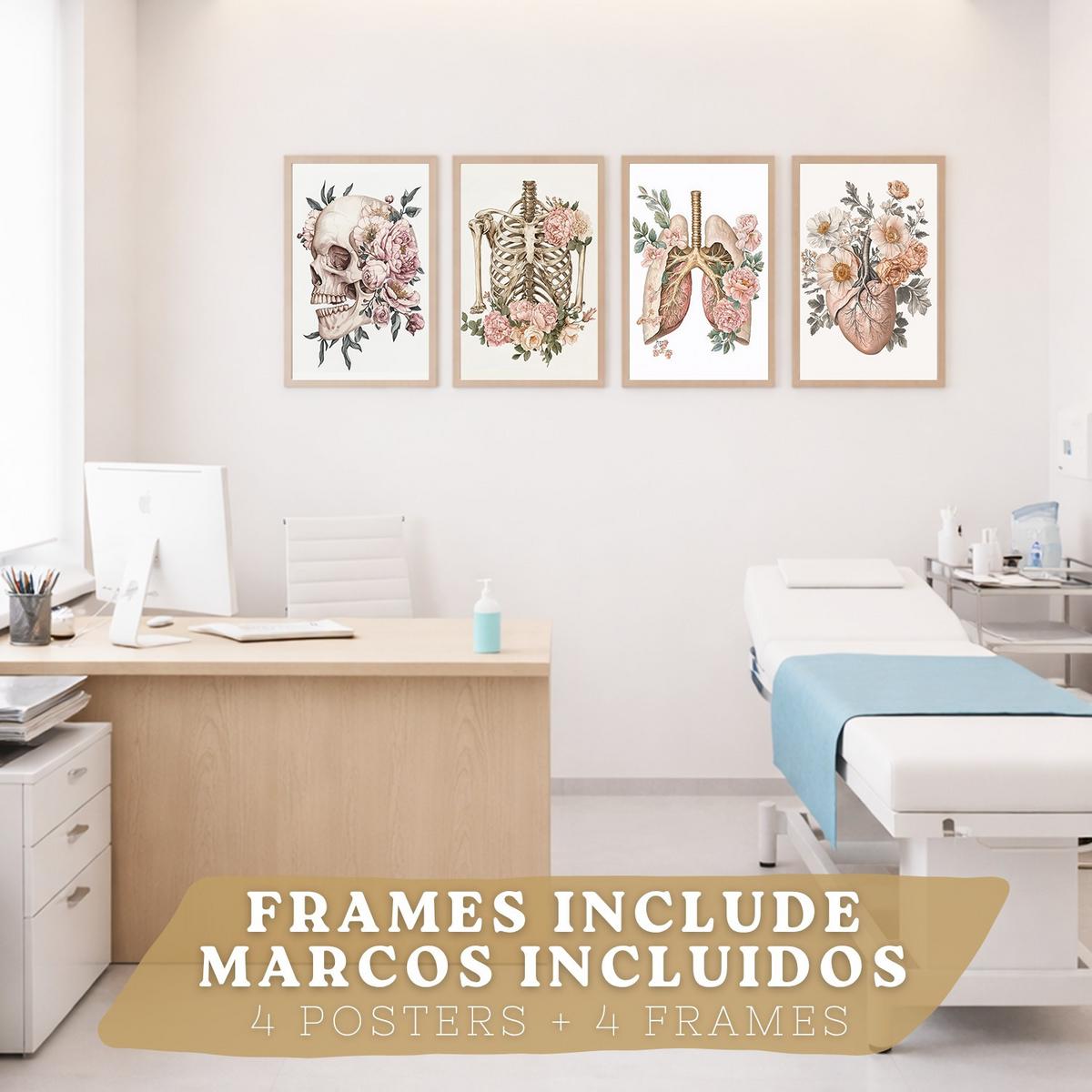 POSTER Set aus 4 Anatomie Mensch Florale Drucke und mit Schädel Herz Lungen und Skelett Botanische Aquarell dekoration Größe Leichter Holzrahmen A3 - Beige, Papier (29.7/42/3cm) - Nacnic
