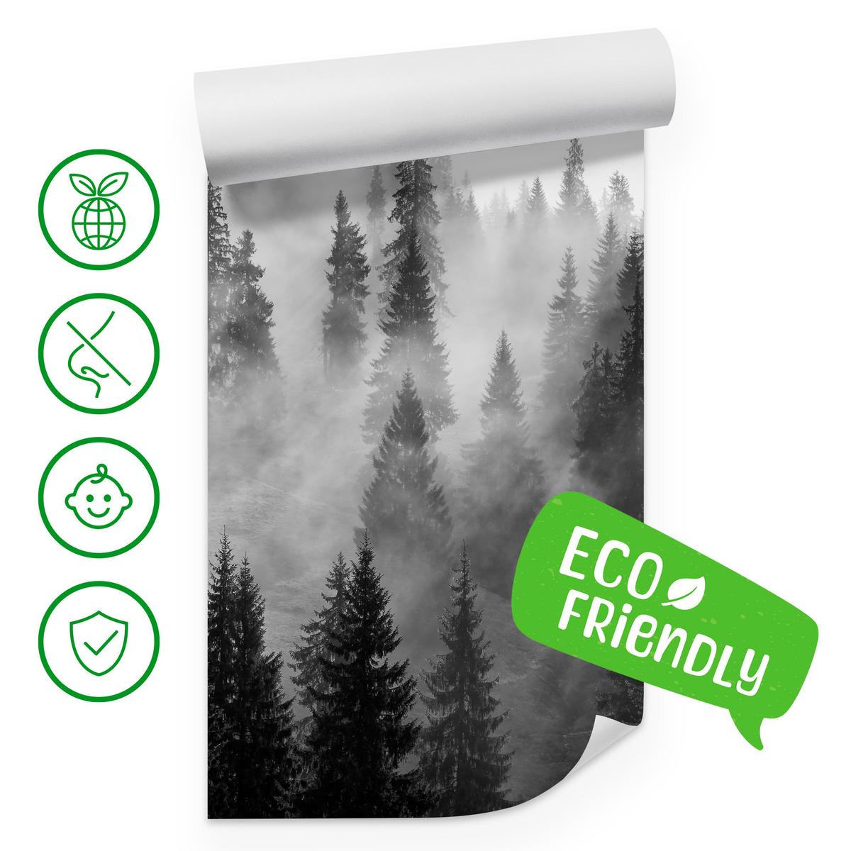 FOTOTAPETE Schwarz-weißer Wald im Nebel Natur 150x105 - Schwarz/Grau, Papier (150/105cm) - Muralo