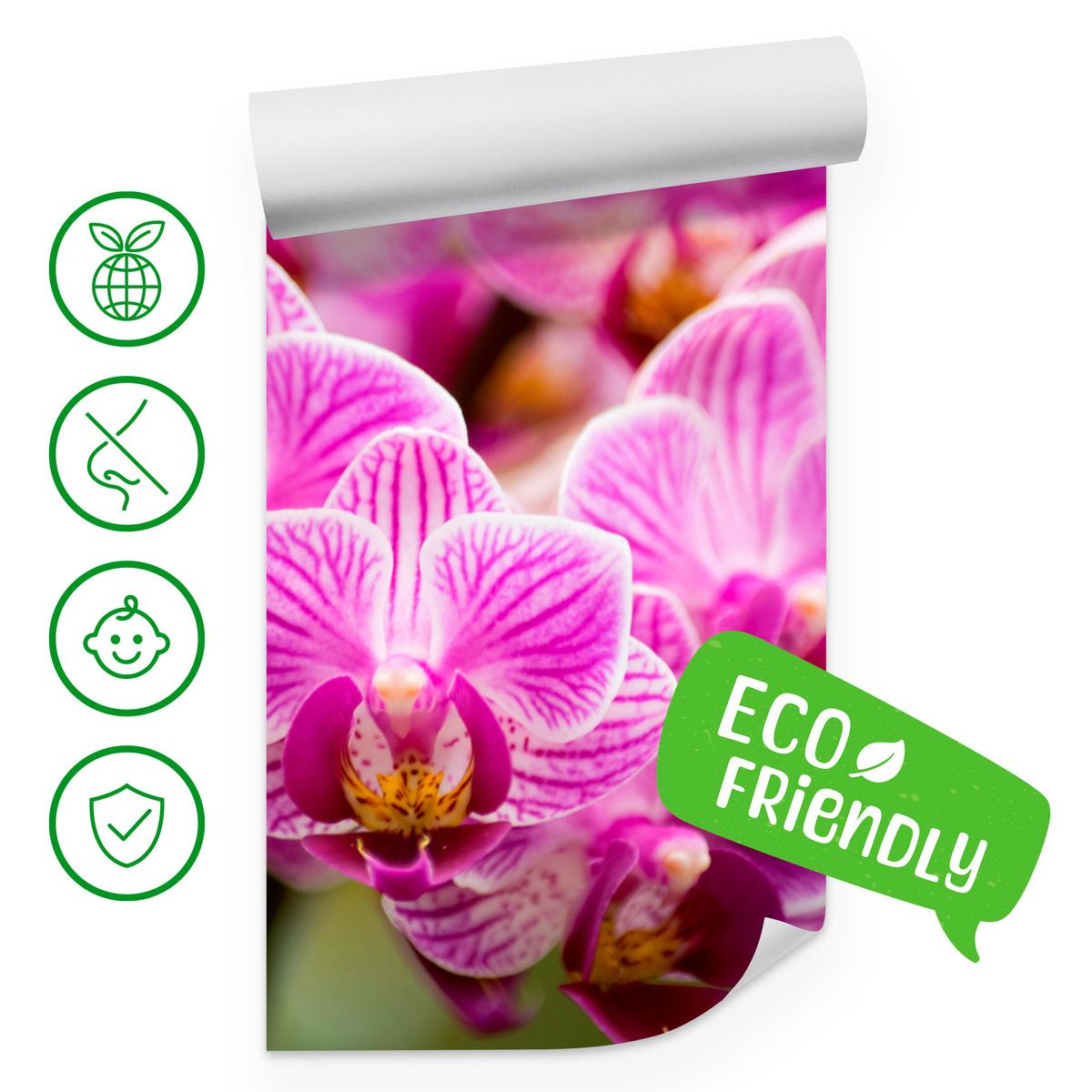FOTOTAPETE für Wohnzimmer Violetter Orchideenstrauß Blumen 100x70 - Violett/Rosa, Papier (100/70cm) - Muralo