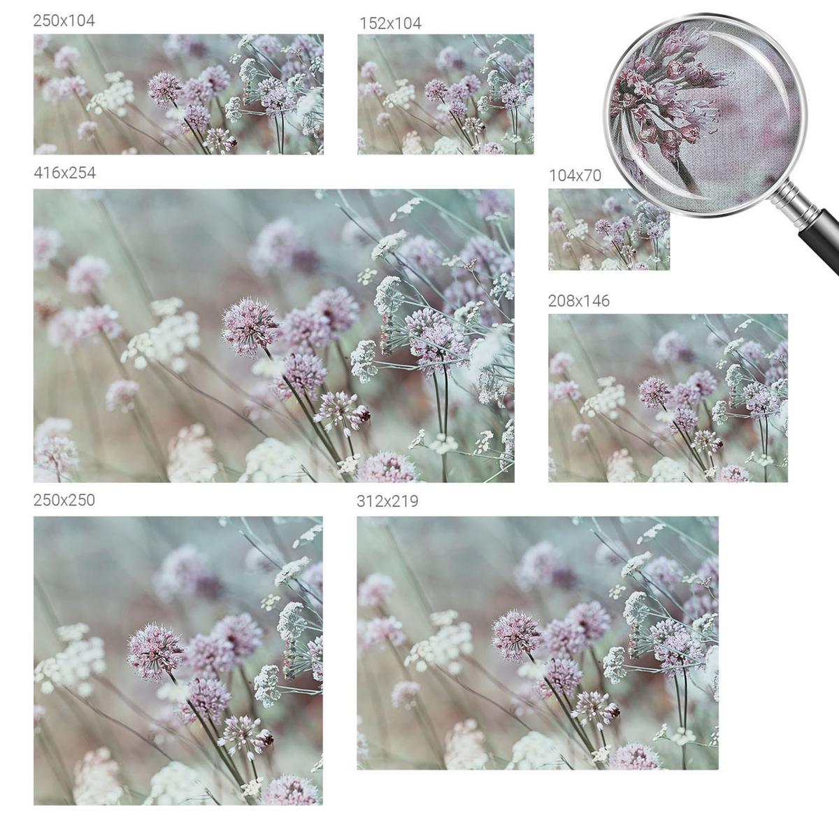 FOTOTAPETE 416x254 cm - Wildblumen - Weiß, Textil (416/254cm) - Wallfluent