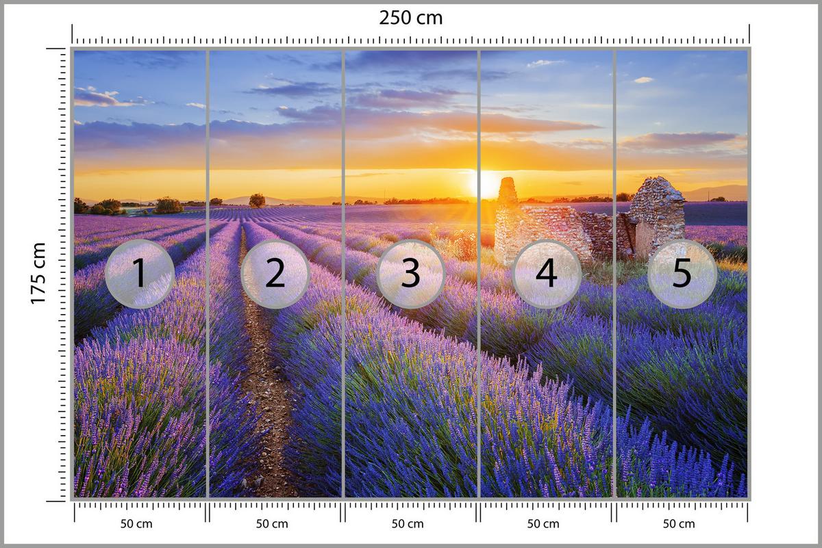 FOTOTAPETE für Wohnzimmer Lavendelfeld Sonnenuntergang Lila 250x175 - Violett/Rosa, Papier (250/175cm) - Muralo