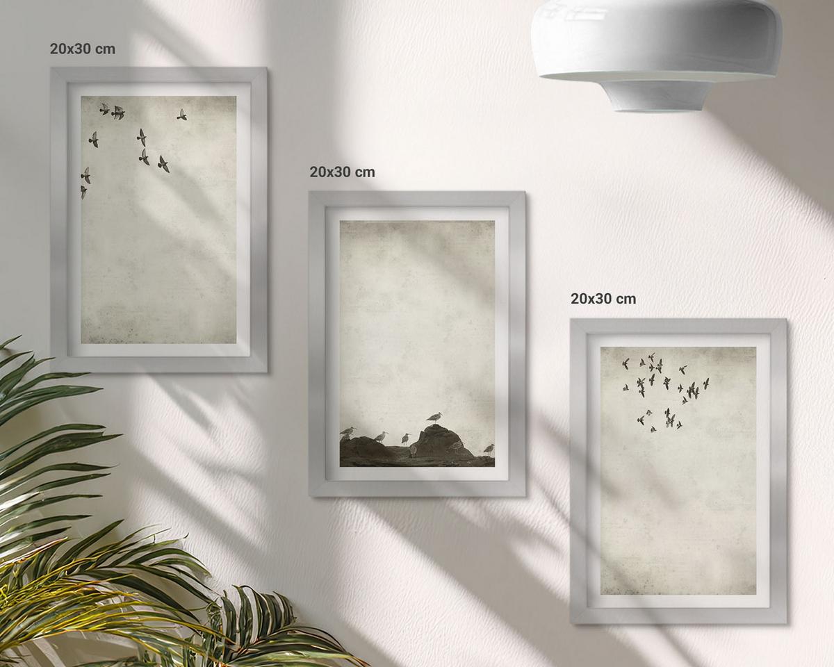 BILDER SET 3er Set - 20x30 cm Silberner Rahmen - Fliegende Vögel Minimalismus - Silberfarben, Kunststoff (20/30cm) - TULUP