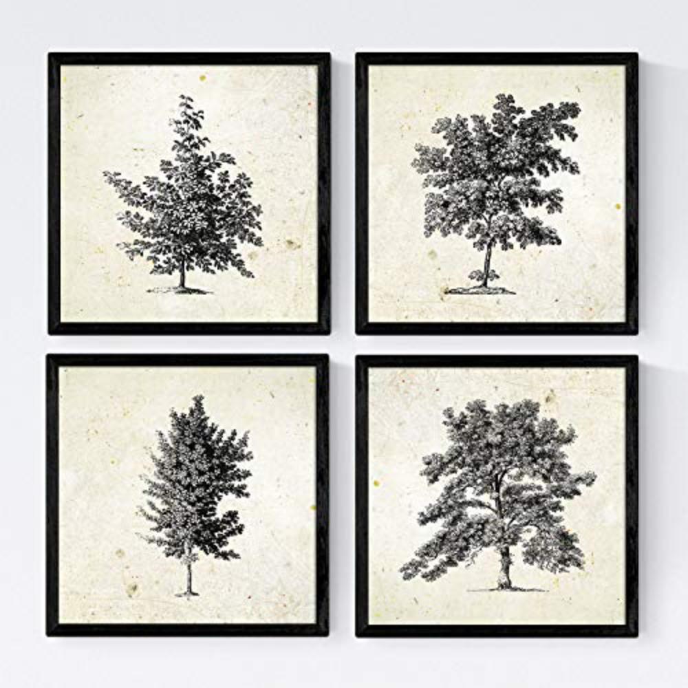 POSTER Set mit 4 Blättern der Bäume ohne Blüten 20x20cm Schwarzer Rahmen - Schwarz, Papier (20/3cm) - Nacnic
