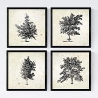 POSTER Set mit 4 Blättern der Bäume ohne Blüten 20x20cm Schwarzer Rahmen - Schwarz, Papier (20/3cm) - Nacnic