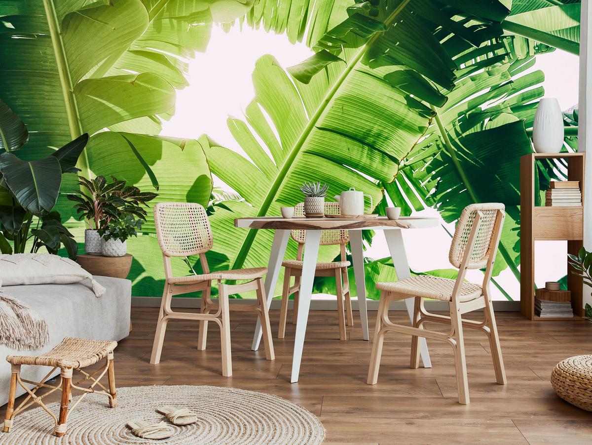 FOTOTAPETE für Wohnzimmer Bananenpflanze Grüne Blätter Tropisch 400x280 - Weiß/Grün, Papier (400/280cm) - Muralo