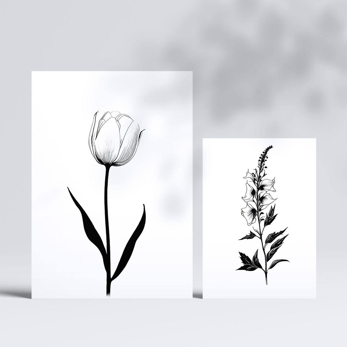 POSTER Set Mit 6 Kleine Blumen Blumenmotiven In Klassischem Schwarz Und Weiß A3 & A4 Rahmenlos - Klar, Papier (29/3cm) - Nacnic