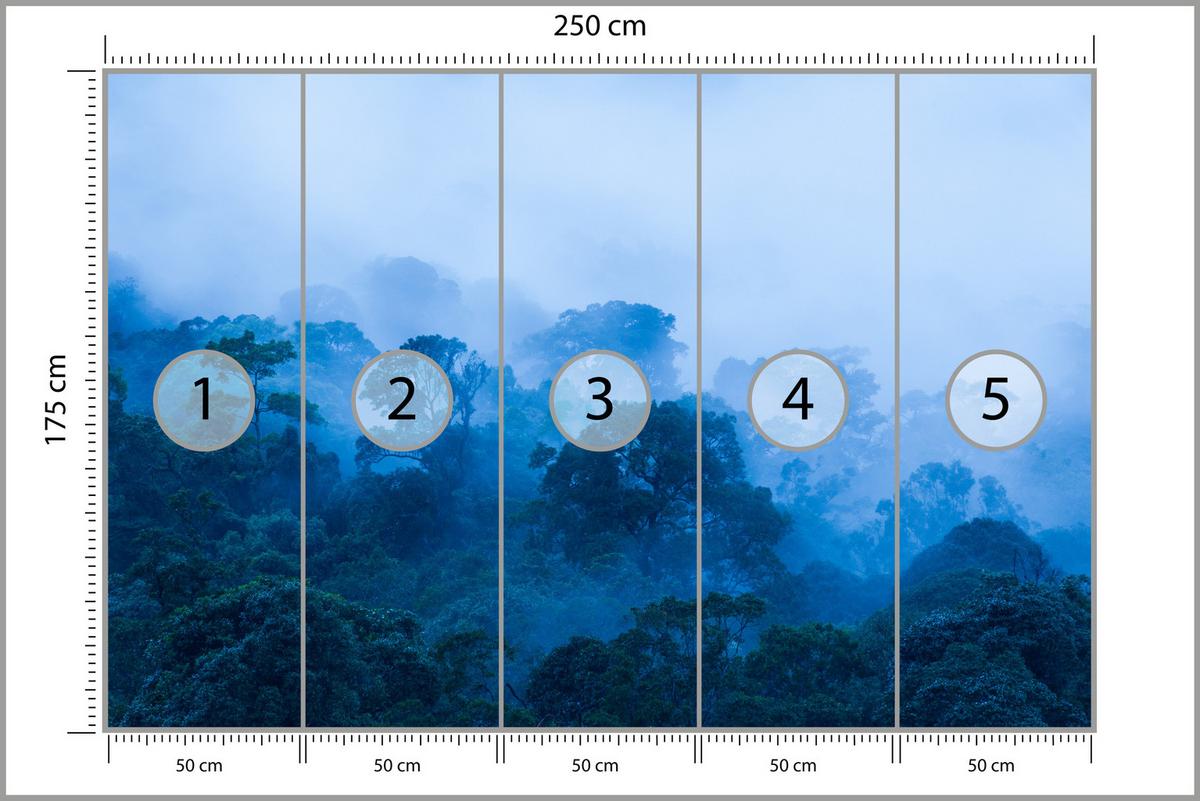 FOTOTAPETE für Wohnzimmer Tropischer Laubwald Nebel Dschungel 250x175 - Schwarz, Papier (250/175cm) - Muralo