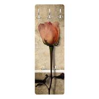 WANDGARDEROBE - Inner Rose Braun 34/105 cm - Rosa, Holzwerkstoff (34/105/1.6cm) - Bilderwelten