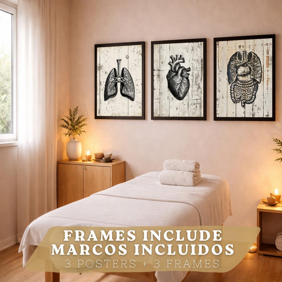POSTER Set aus 3 Anatomie Mensch Drucke und Wandbilder mit Lungen Darm und Herz Rustikaler Stil Medizinische Wanddekoration Größe Schwarzer Rahmen A3 - Schwarz, Papier (29.7/42/3cm) - Nacnic