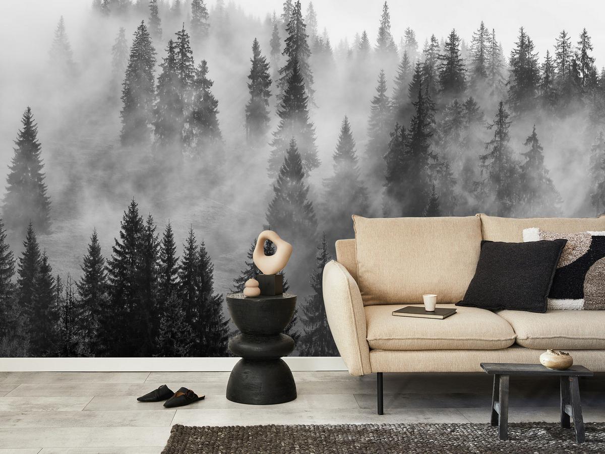 FOTOTAPETE Schwarz-weißer Wald im Nebel Natur 150x105 - Schwarz/Grau, Papier (150/105cm) - Muralo