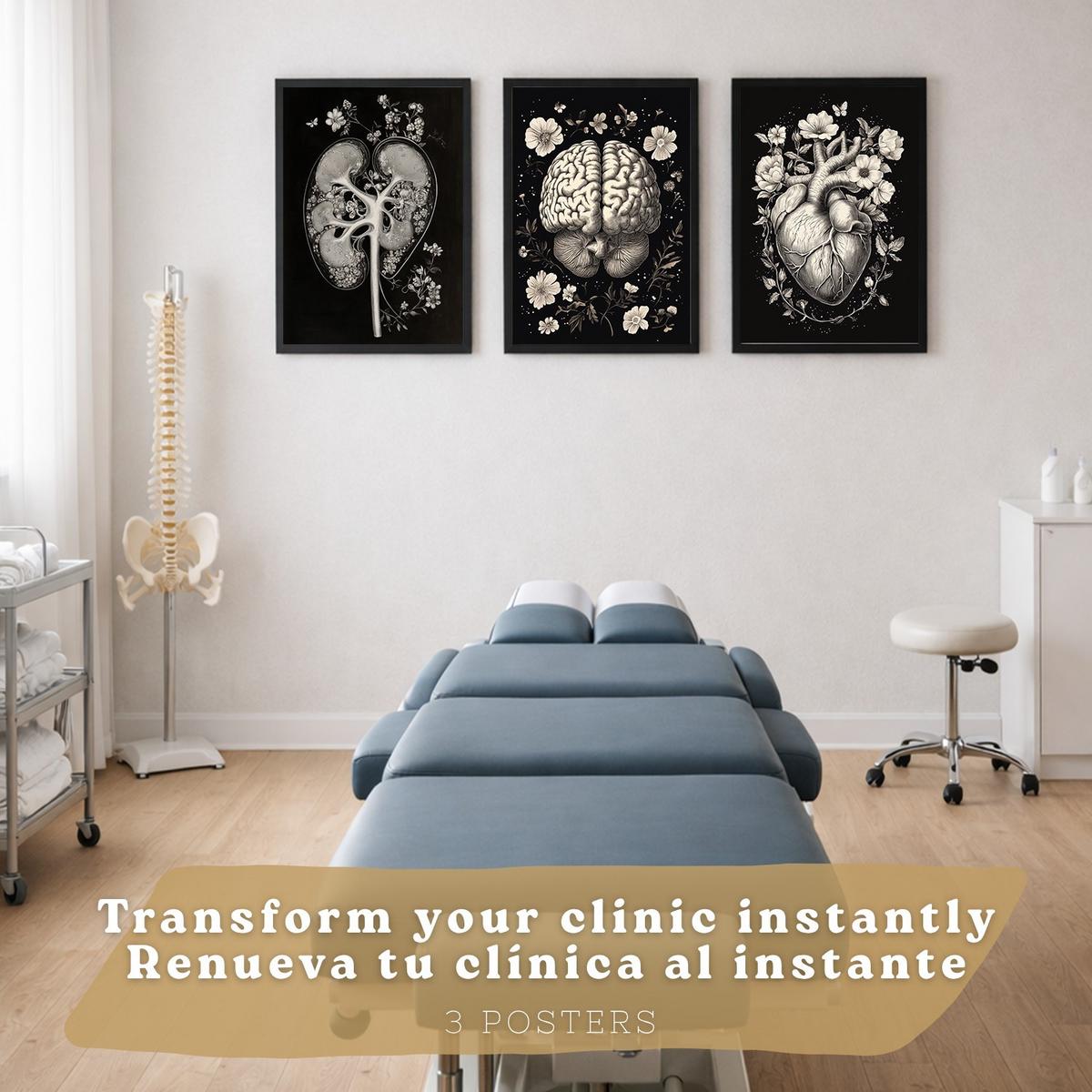 POSTER Set aus 3 Anatomie Mensch Drucke und Wandbilder mit Niere Harnsystem Gehirn und Herz Klassisches Schwarz Weiß Design Größe Schwarzer Rahmen A4 - Schwarz, Papier (21/29.7/3cm) - Nacnic