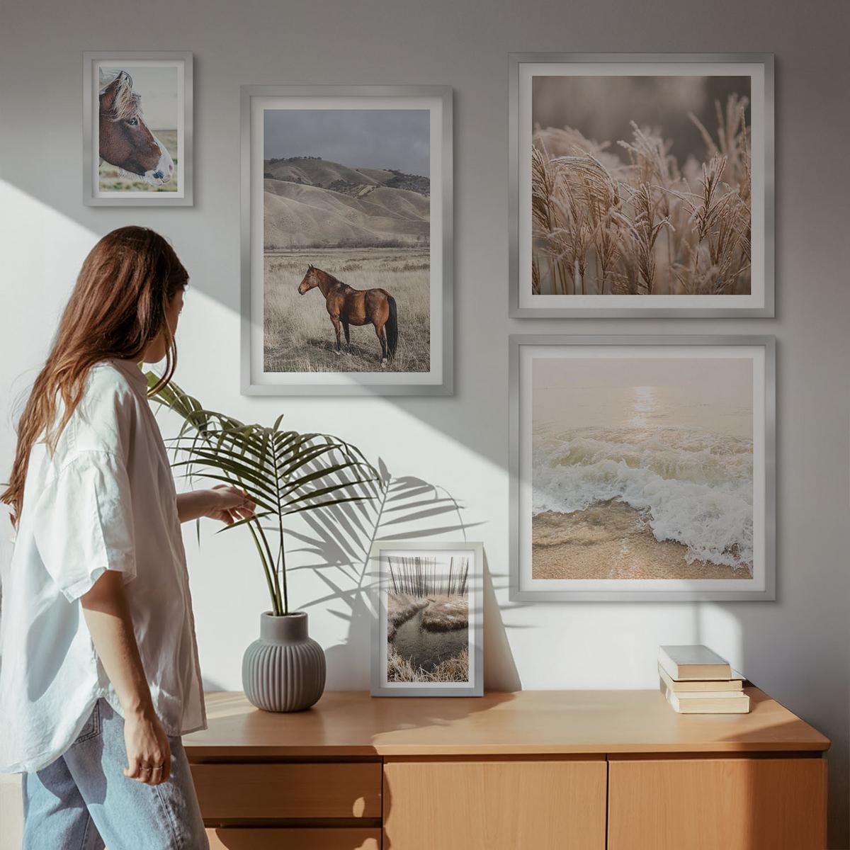 BILDER SET 5er Set - 50x50 cm & 20x30 cm & 40x60 cm Silberner Rahmen - Pferdelandschaft Seegraswald - Silberfarben, Kunststoff (40/60cm) - TULUP