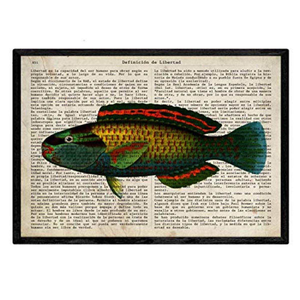 POSTER Set mit 4 Enzyklopädie mit Fische in verschiedenen Farben A4 Schwarzer Rahmen - Schwarz, Papier (29.7/3cm) - Nacnic