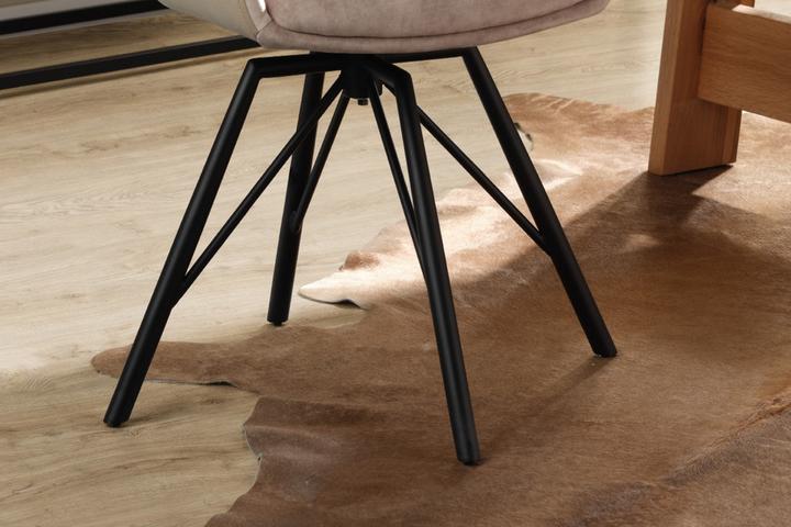 Armlehnstuhl Stuhlbeine Schwarz Eisen pulverbeschichtet Stativgestell