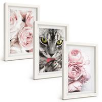BILDER SET 3er Set - 20x30 cm Weißer Rahmen - Katze in rosa Blumen - Weiß, Kunststoff (20/30cm) - TULUP