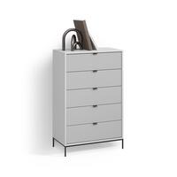 KOMMODE Aterno Grau 76 x 120 cm mit 5 Schubladen - Grau, Holzwerkstoff (76/120/42cm) - Livinity®