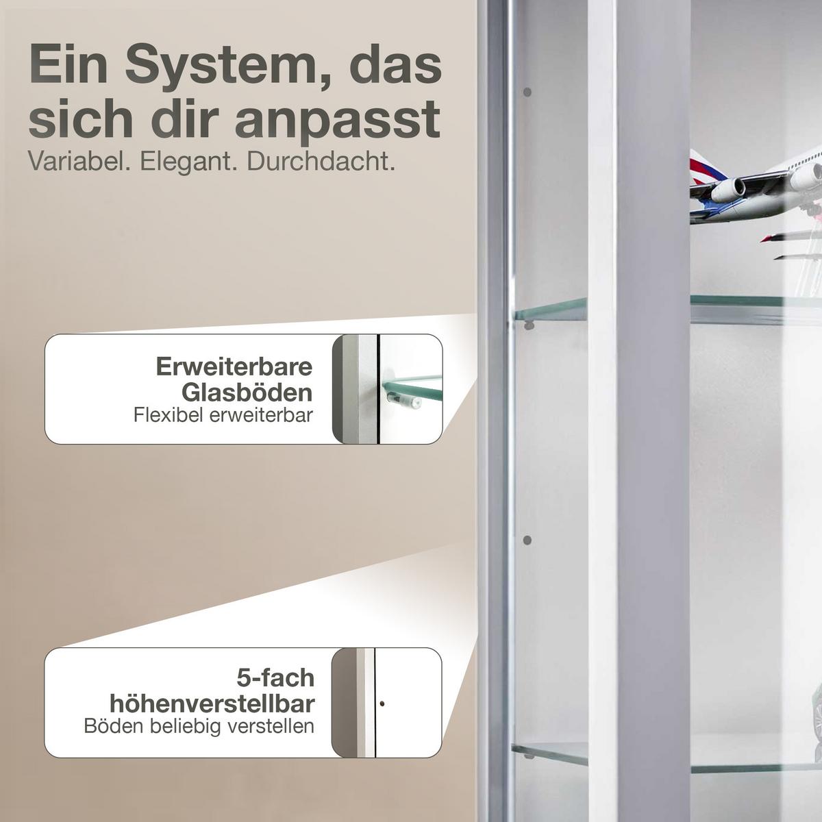 HÄNGEVITRINE 25/60/80 cm mit 2 höhenverstellbaren Glasböden - Transparent/Silberfarben, Glas/Holzwerkstoff (60/80/25cm) - K-Möbel