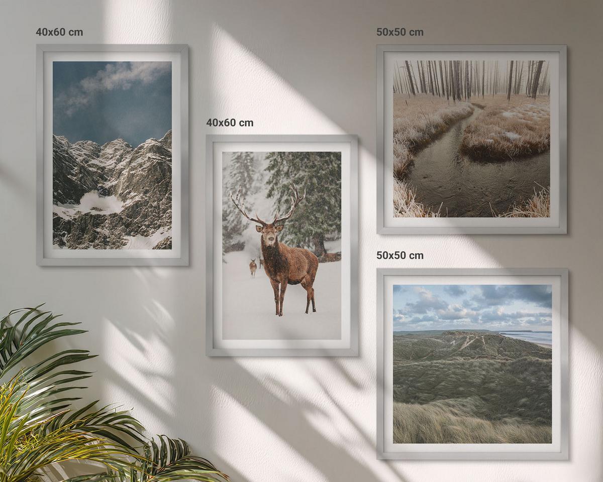 BILDER SET 4er Set - 50x50 cm & 40x60 cm Silberner Rahmen - Berge, Schnee, Hirsche, Waldlandschaft - Silberfarben, Kunststoff (50/50cm) - TULUP