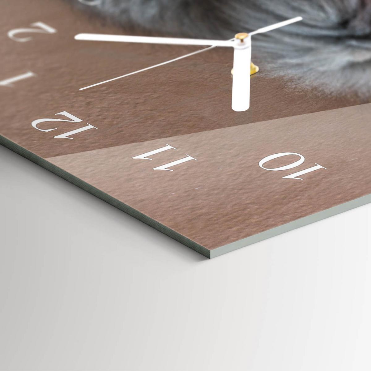 WANDUHR aus Glas 60x30 cm - Perserkatze - Grau, Glas (60/30/0.4cm) - TULUP