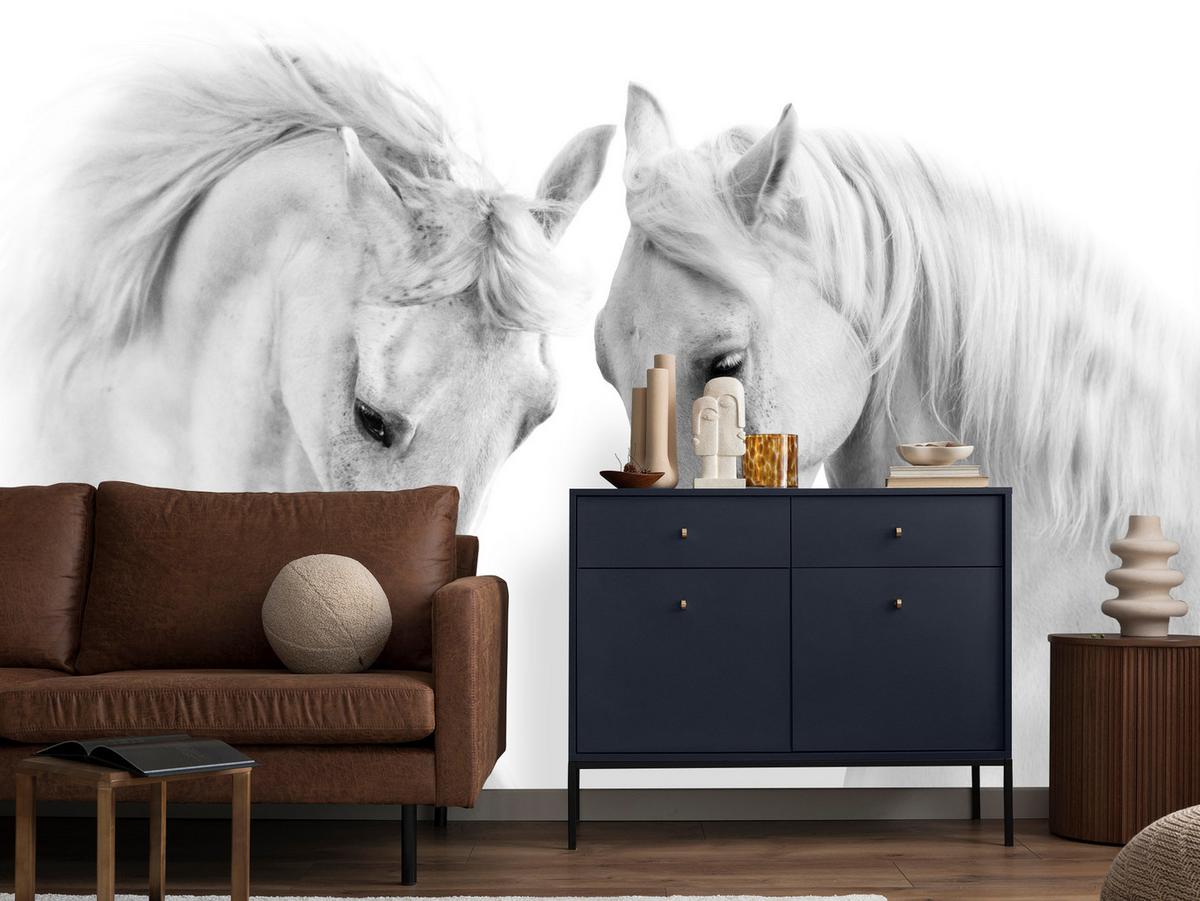 FOTOTAPETE für Schlafzimmer Weiße Pferde Grauer Hintergrund Eleganz Tierwelt 350x256 - Weiß/Grau, Papier (350/256cm) - Muralo