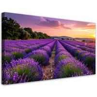 LEINWANDBILD Landschaften 100x50cm - Lila, Textil (100/50cm) - Feeby