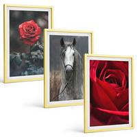 BILDER SET 3er Set - 40x60 cm Goldrahmen - Rote Rosen, Pferdegrau, Welt - Goldfarben, Kunststoff (40/60cm) - TULUP