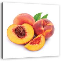 WANDBILD obst boching - Orange, Textil (40/40cm) - Feeby