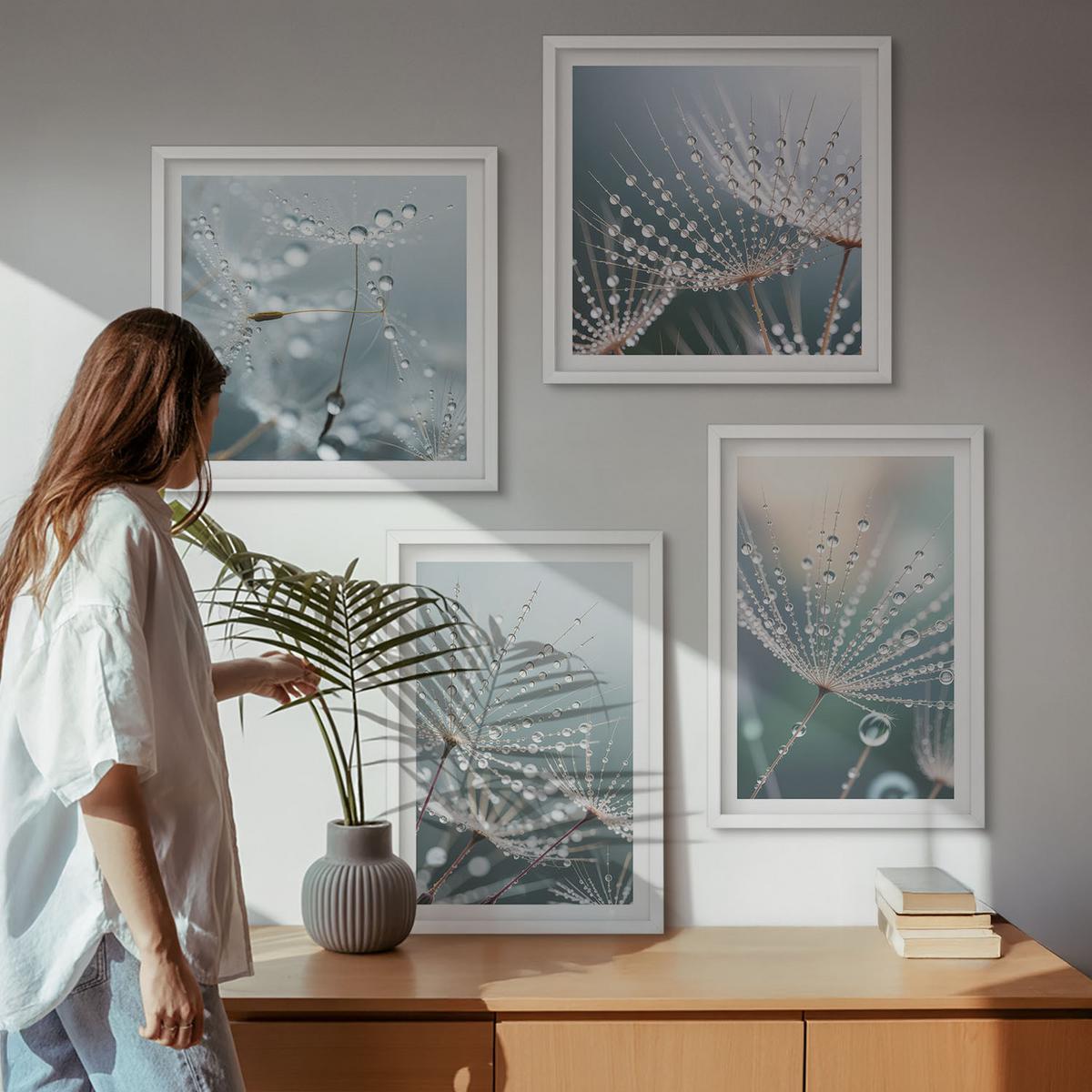 BILDER SET 4er Set - 50x50 cm & 40x60 cm Weißer Rahmen - Wassertropfen auf Löwenzahnsprossen - Weiß, Kunststoff (50/50cm) - TULUP