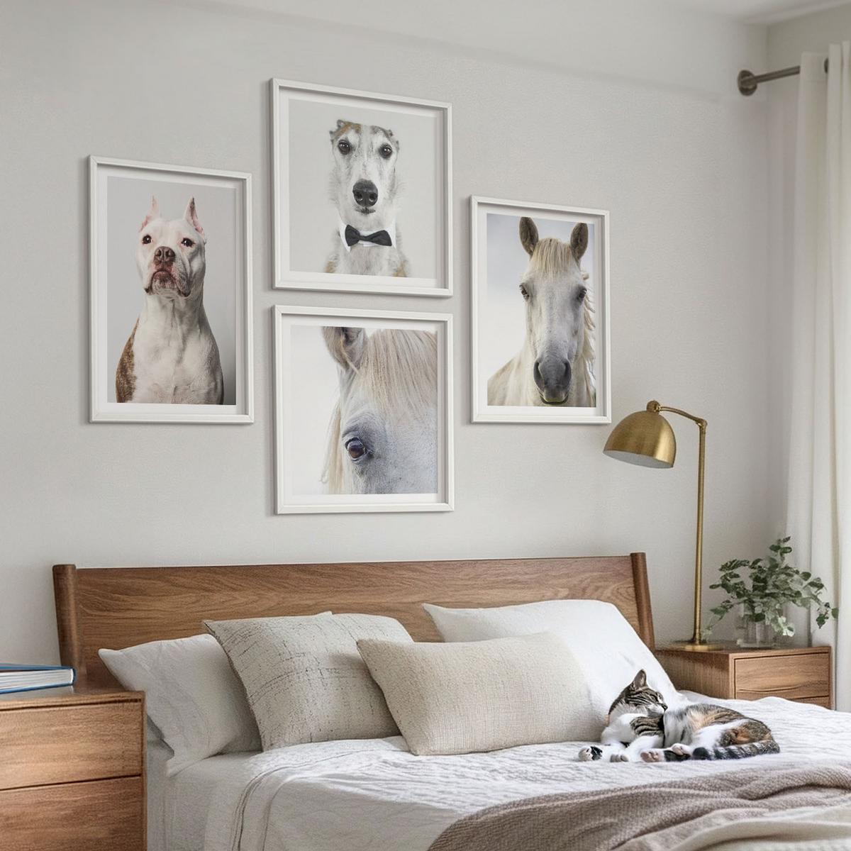 BILDER SET 4er Set - 50x50 cm & 40x60 cm Weißer Rahmen - Elegante Porträts von Hunden und Pferden - Weiß, Kunststoff (50/50cm) - TULUP