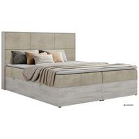 BOXBETT DELNOR 140/200 - Beige Velvet - Topper T25 - H3 - Beige/Schwarz, Kunststoff/Textil (140/200cm) - MKS
