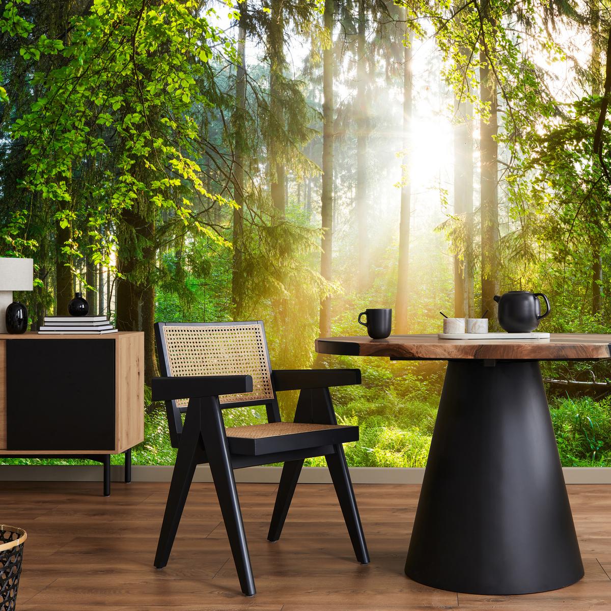 FOTOTAPETE für Wohnzimmer Sonniger Wald Bäume Pflanzen Natur Gras 400x280 - Multicolor, Papier (400/280cm) - Muralo