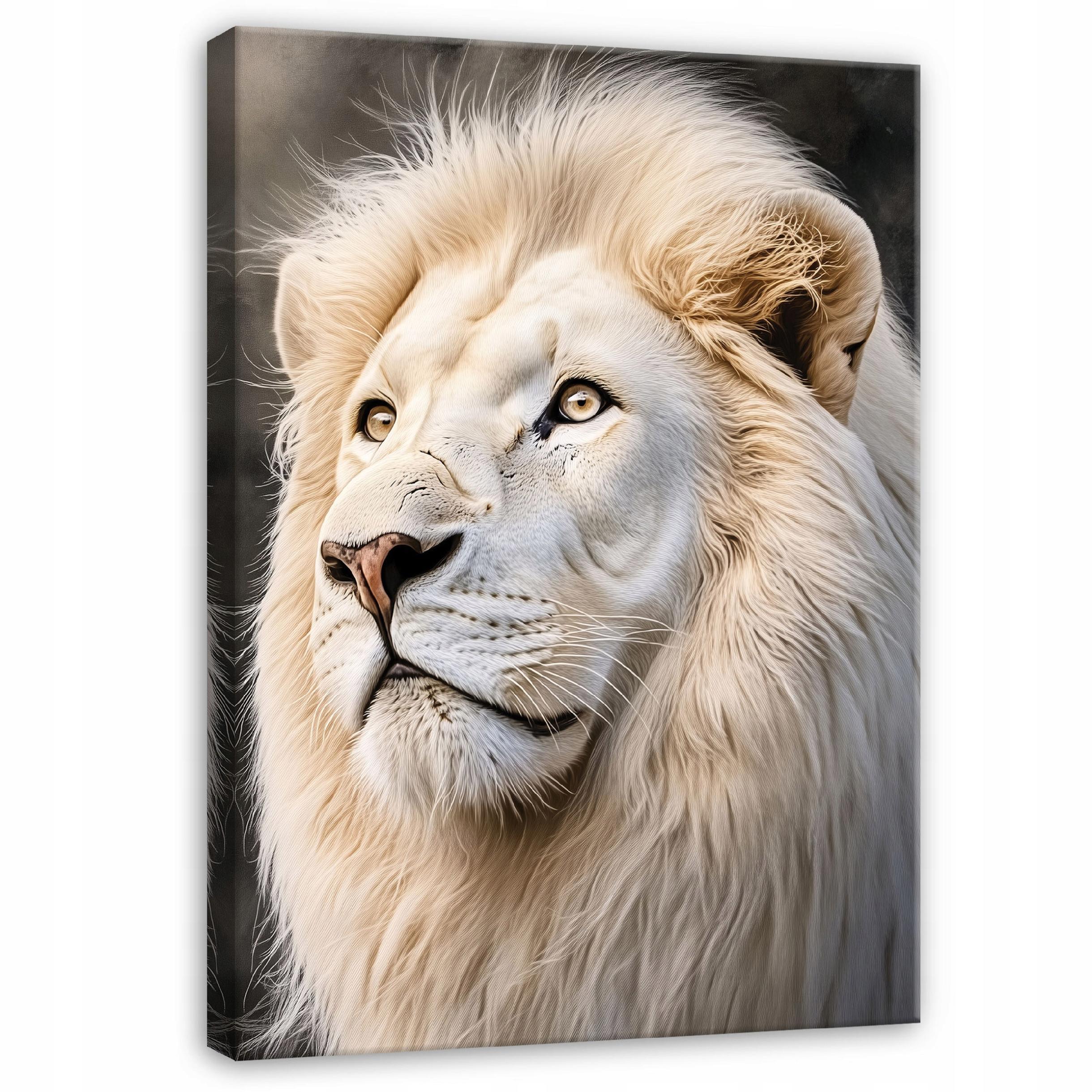 BILDER Löwe Weiß Tiere Modern 100x70 - Multicolor, Holzwerkstoff (70/100cm) - Wallarena