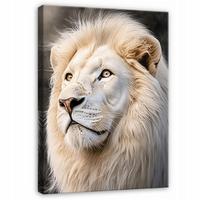 BILDER Löwe Weiß Tiere Modern 100x70 - Multicolor, Holzwerkstoff (70/100cm) - Wallarena