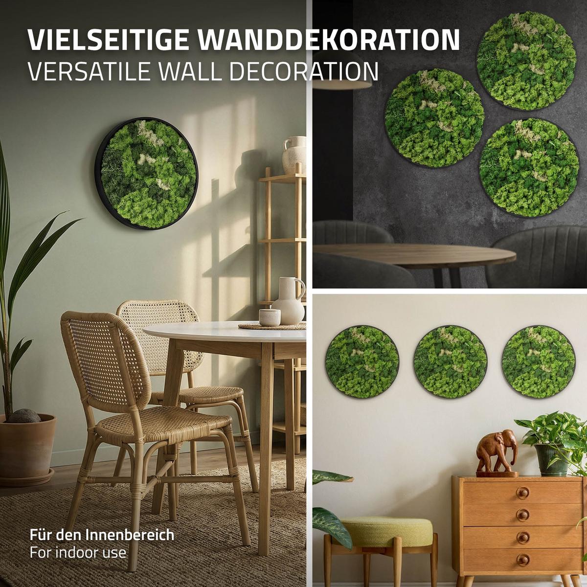 MOOSBILD Rund Ø 40 cm Mooswand Indoor mit Echtem Islandmoos und Holzrahmen Grün Pflegefrei - Salbeigrün, Naturmaterialien (40/40/3cm) - ECD-Germany