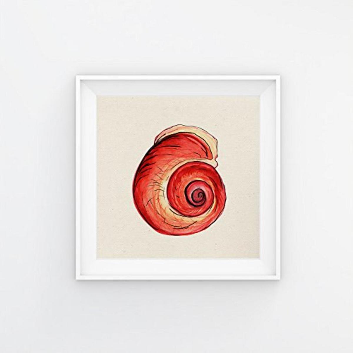 POSTER Set mit 4 Bunte Muscheln 25x25 cm Schwarzer Rahmen - Schwarz, Papier (25/3cm) - Nacnic