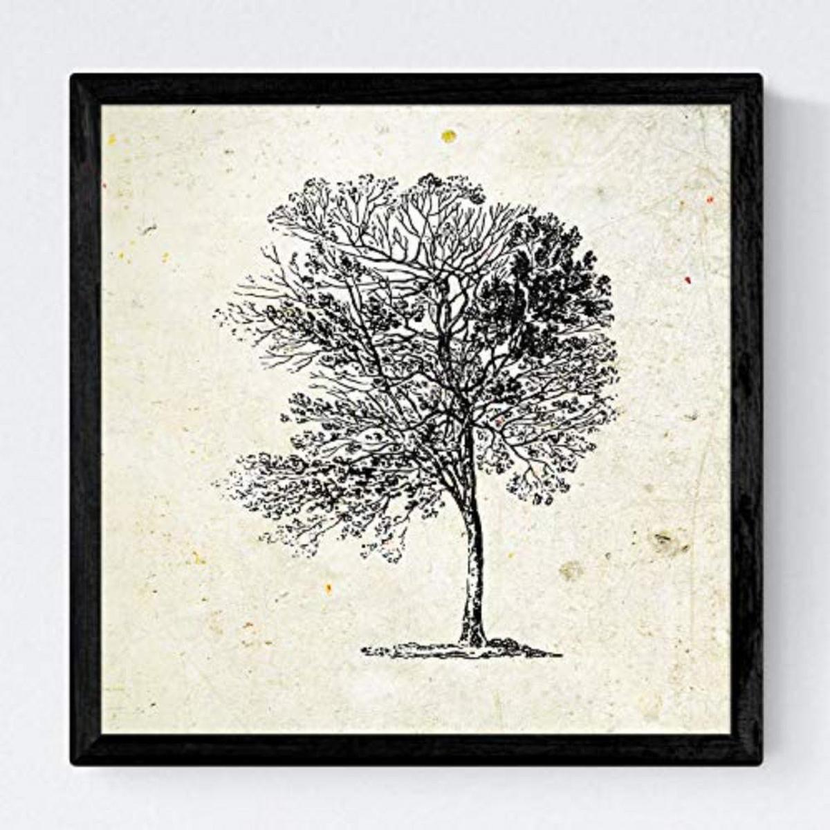 POSTER Set mit 4 Obstbäume ohne, weiß 20x20cm Schwarzer Rahmen - Schwarz, Papier (20/3cm) - Nacnic