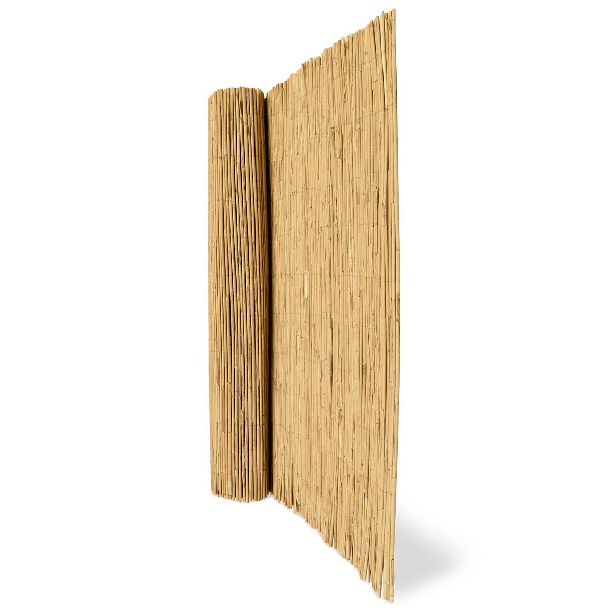 SICHTSCHUTZZAUN SolVision S36 90/600 cm Schilf - Naturfarben, Kunststoff (600/90cm) - Sol Royal