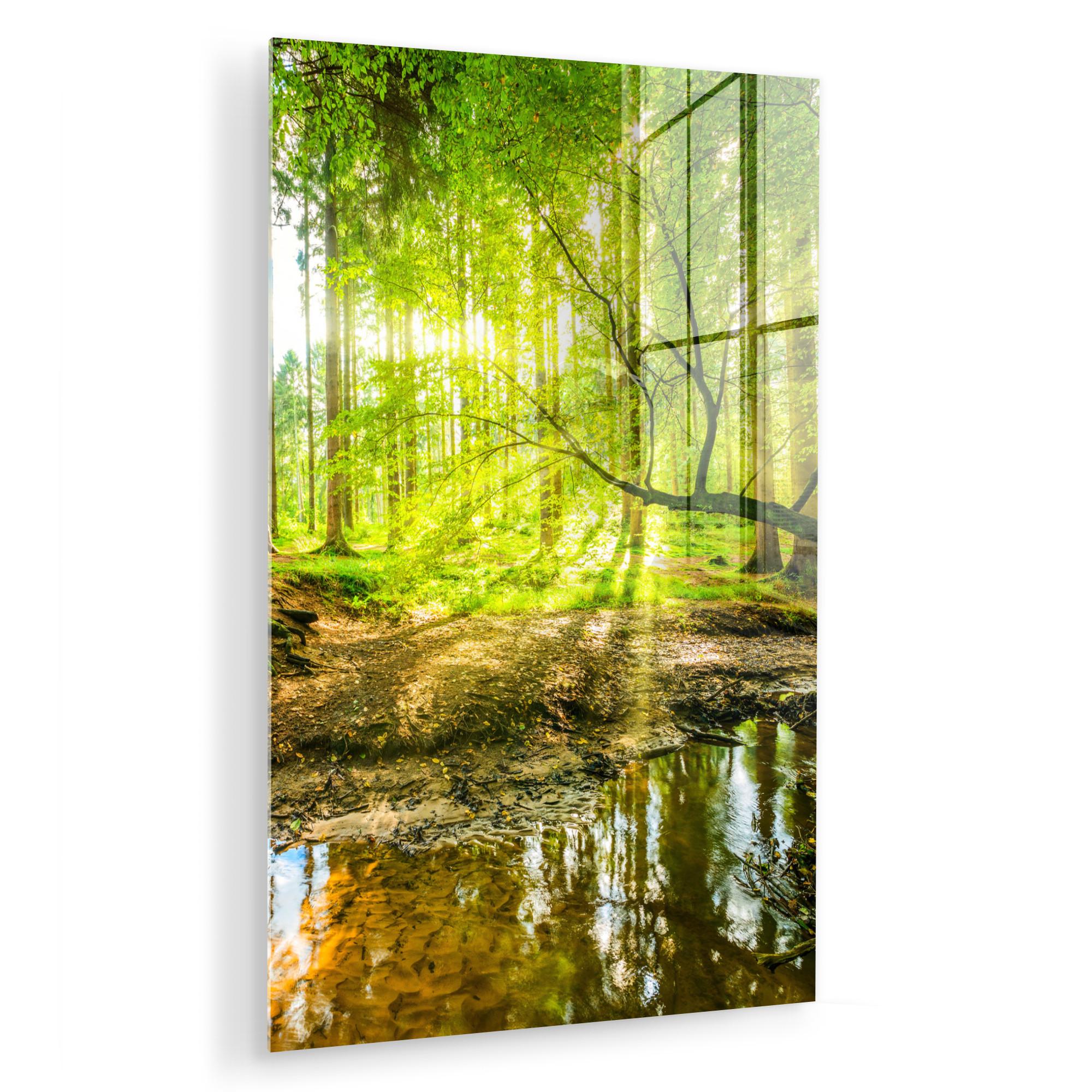 ACRYLGLASBILD Wald - Landschaft - Wasser - Bäume - Sonne - Grün - Natur Wandbild 60x90 cm - Grün, Glas (60/90cm) - MuchoWow