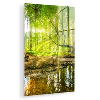 ACRYLGLASBILD Wald - Landschaft - Wasser - Bäume - Sonne - Grün - Natur 80x120 cm - Grün, Glas (80/120cm) - MuchoWow
