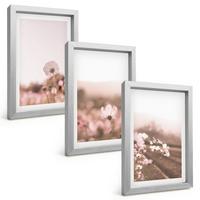 BILDER SET 3er Set - 20x30 cm Silberner Rahmen - Sommerlandschaften mit Wildblumenwiesen - Silberfarben, Kunststoff (20/30cm) - TULUP