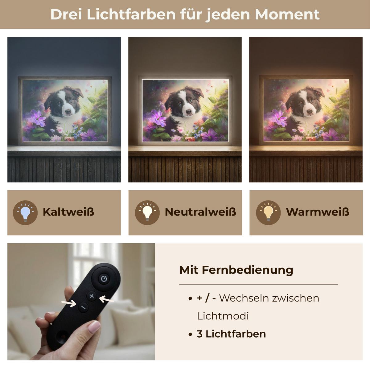 WANDLEUCHTE MIT AKKU Welpe - Sonne - Blumen - Natur - Border Collie - Hund 40x30 cm - Violett, Holzwerkstoff (40/30/8cm) - OnlyWow