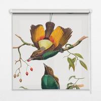 INNENROLLO - Fensterrollo - Rollo - 140x140 cm - Vögel auf einem Ast - Grau, Kunststoff (140/140/0.5cm) - TULUP