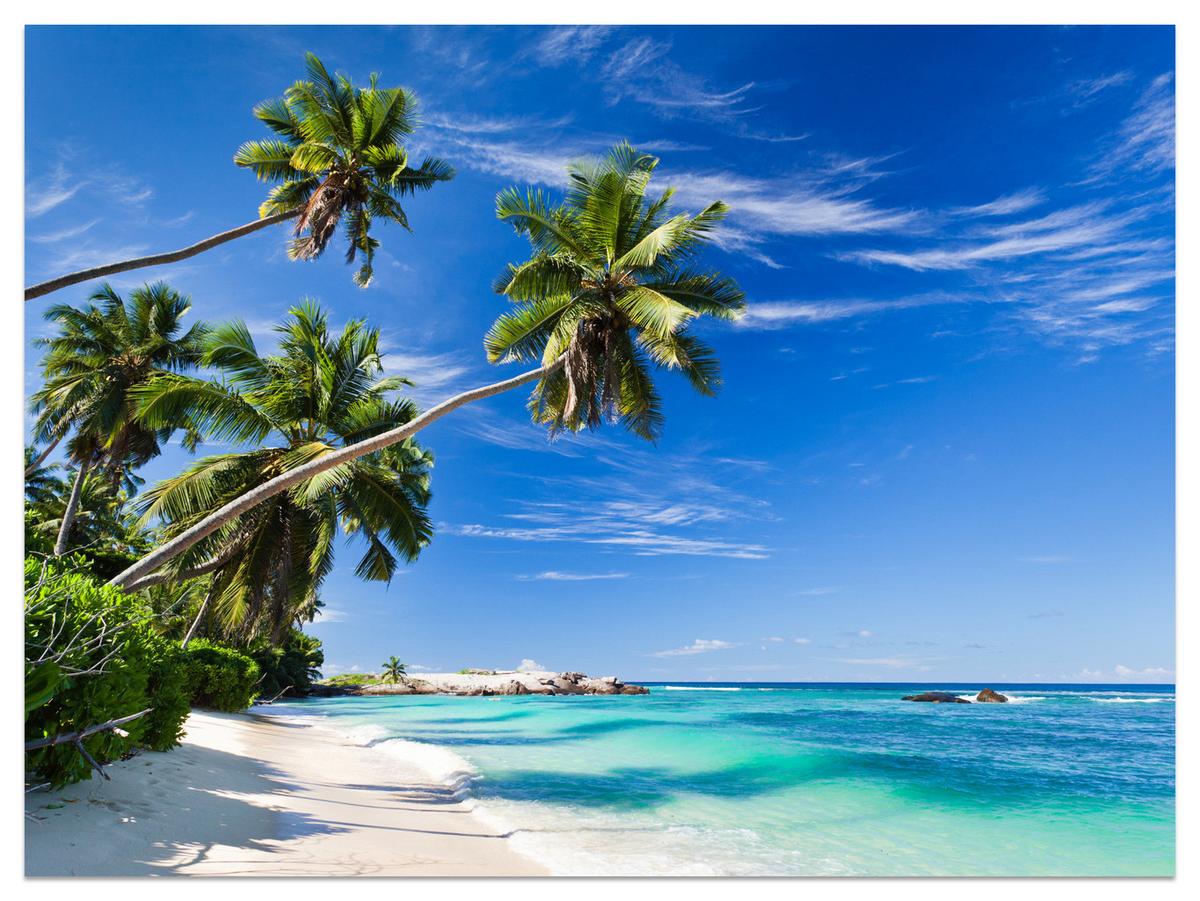 FOTOTAPETE Strand Ozean Palmen Landschaft 3D 300x210 - Türkis/Blau, Papier (300/210cm) - Muralo