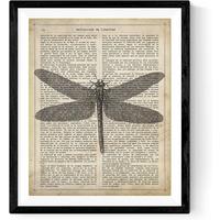 POSTER Vintage Libelle A3 Schwarzer Rahmen - Schwarz, Papier (29.7/5/42cm) - Nacnic