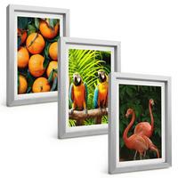 BILDER SET 3er Set - 20x30 cm Silberner Rahmen - Fruchtige Akzente in den Tropen - Silberfarben, Kunststoff (20/30cm) - TULUP