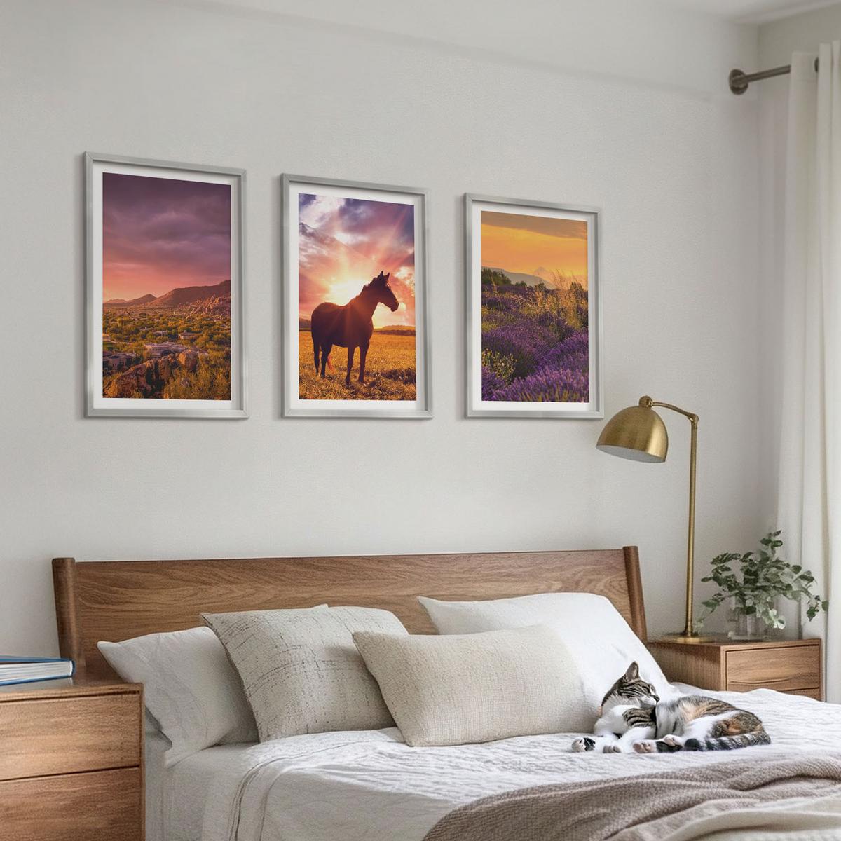 BILDER SET 3er Set - 40x60 cm Silberner Rahmen - Berglandschaft mit einem Pferd - Silberfarben, Kunststoff (40/60cm) - TULUP