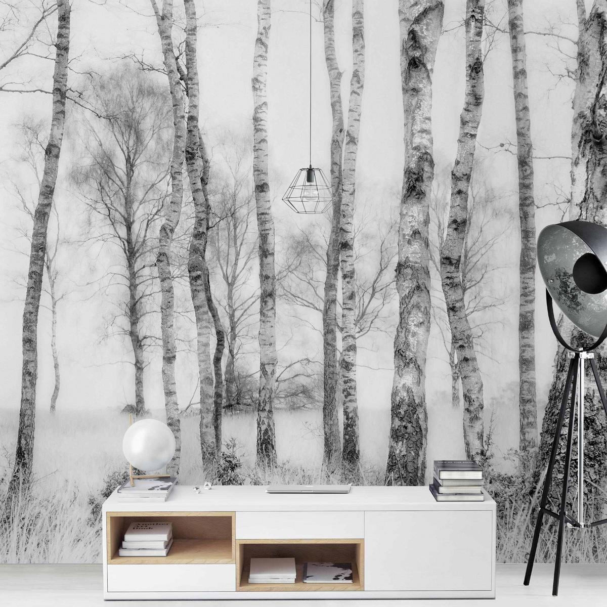 FOTOTAPETE Mystischer Birkenwald Schwarz-Weiß 240/240 cm - Schwarz, Papier (240/240cm) - Bilderwelten