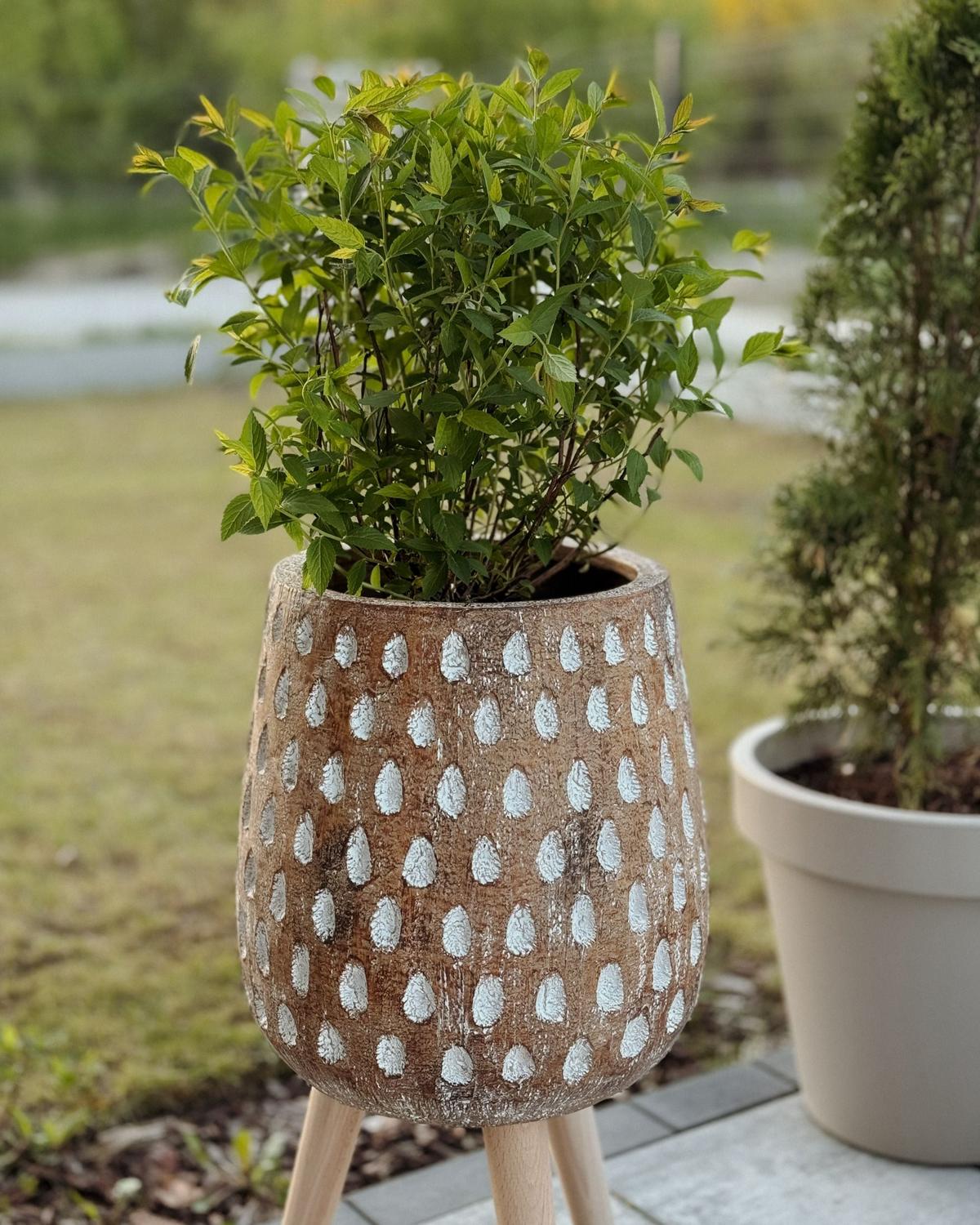 BLUMENTOPF Braun Asclepias - Hellbraun/Braun, Stein (61cm) - Beliani