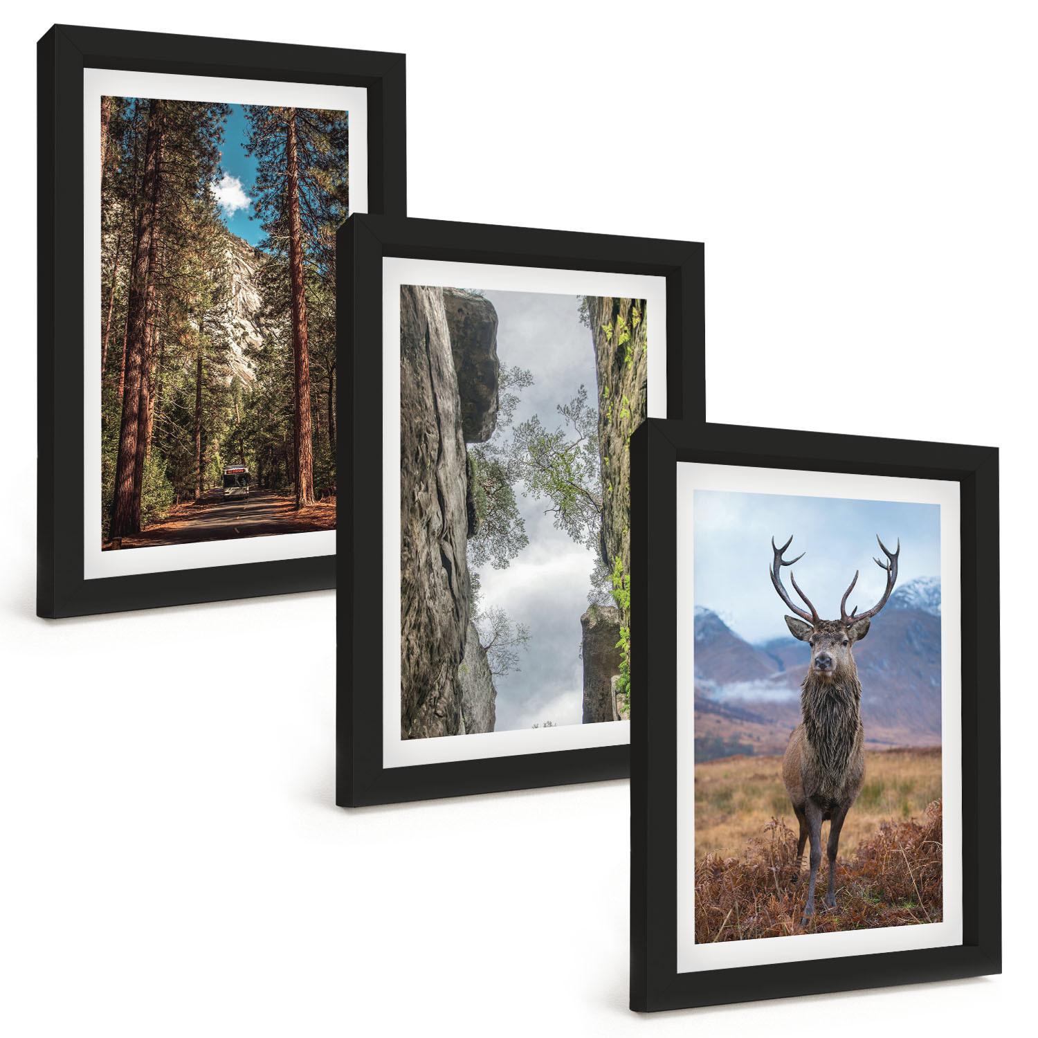 BILDER SET 3er Set - 20x30 cm Schwarzer Rahmen - Straße Wald Berge Hirsch Natur - Schwarz, Kunststoff (20/30cm) - TULUP