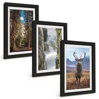 BILDER SET 3er Set - 20x30 cm Schwarzer Rahmen - Straße Wald Berge Hirsch Natur - Schwarz, Kunststoff (20/30cm) - TULUP